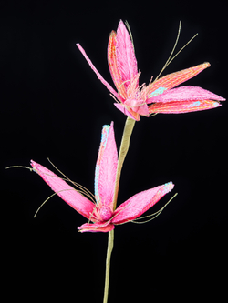 Веточка с цветами полифилла 61см ChristmasDeLuxe розовая