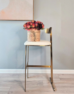 Дизайнерский барный стул TG-309