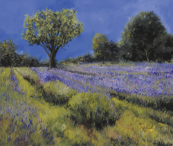 Коллекция Пейзаж