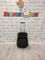 Коляска прогулочная Baballo Future 2024 чёрный (белая рама)