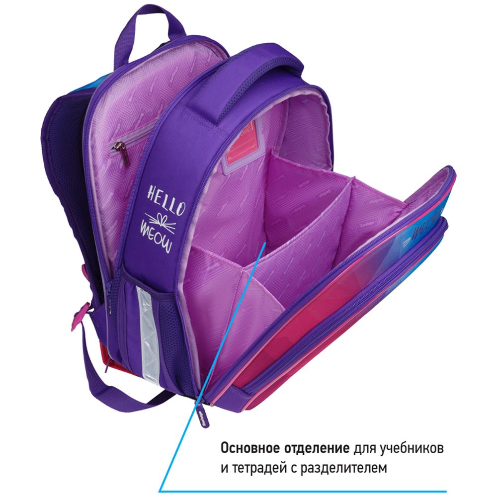 Ранец Berlingo Expert Light Hello meow 38х28х15с 3 отд., с анатомической спинкой