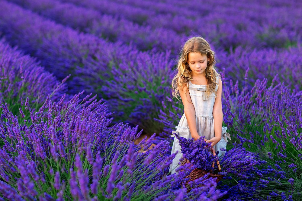 Лавандовые поля и озеро Салда