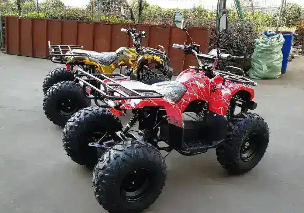 Электроквадроцикл Green Camel Атакама T320 (48V 1000W R8 Дифференциал)