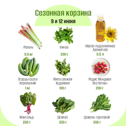 Сезонная корзина