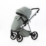 Коляска 2 в 1 Adamex Delta Nature