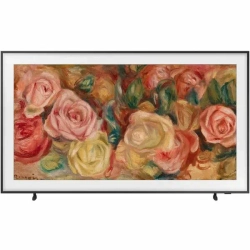 Телевизор 65" Samsung QE65LS03DAUXRU