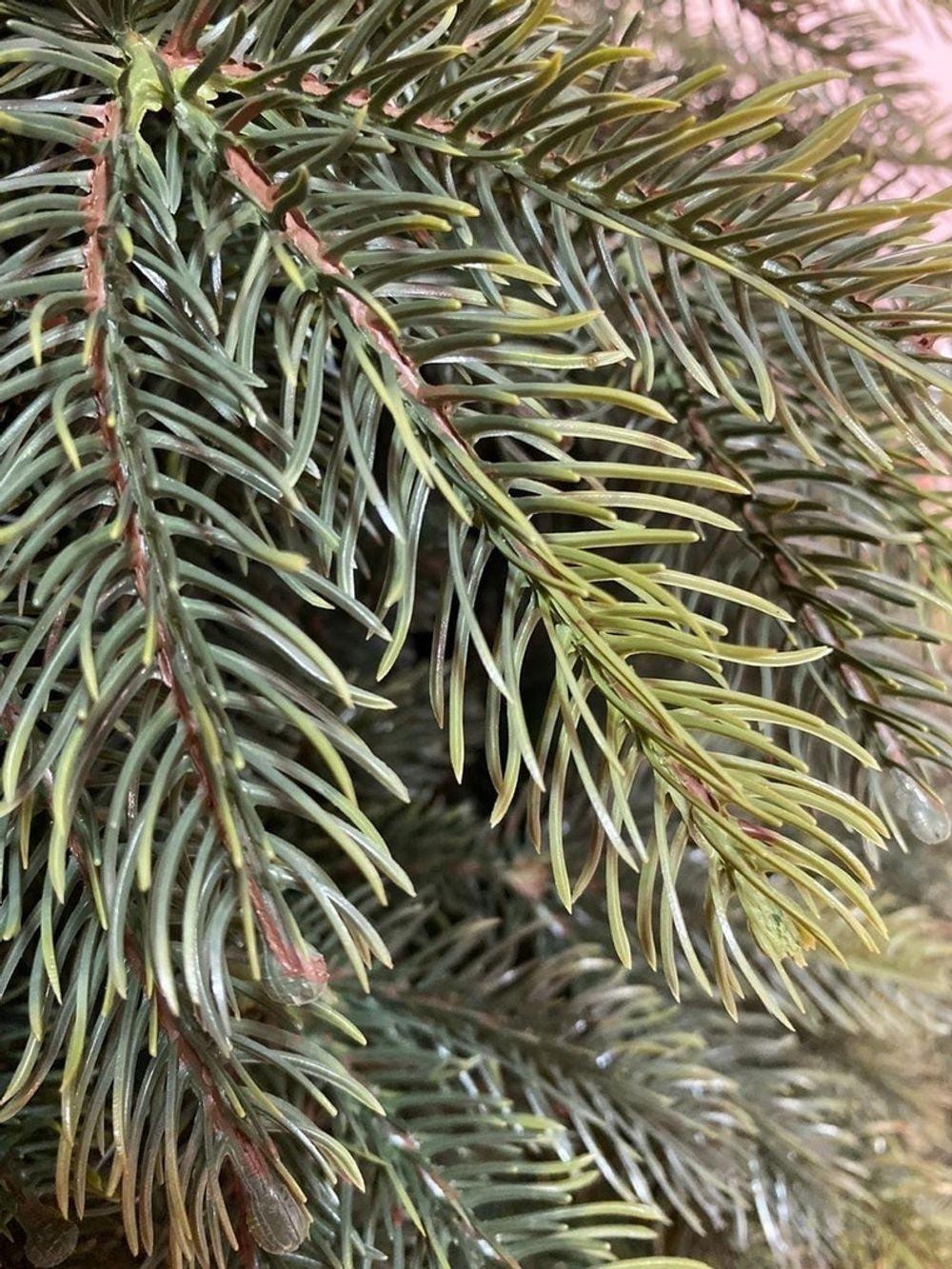 Ель искусственная «Богемская» (Литая+пвх) 270 см / 2.7 м