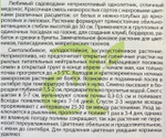 Василек Полька Дот 0,5 г СМЦ-371