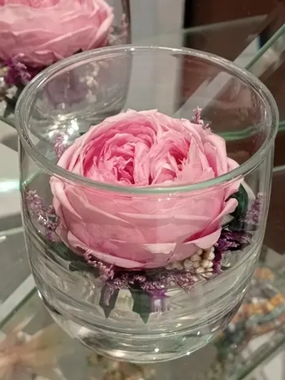 натуральный пион в стекле, вакуум*