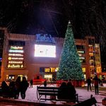 Светодинамическая елка каркасная - встроенная гирлянда: холодный свет - "Уральская" 21 м