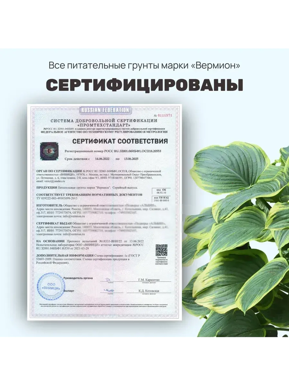 Органический грунт для драцены и юкки 5 л