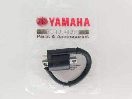 Катушки, ЭБУ и свечные колпачки