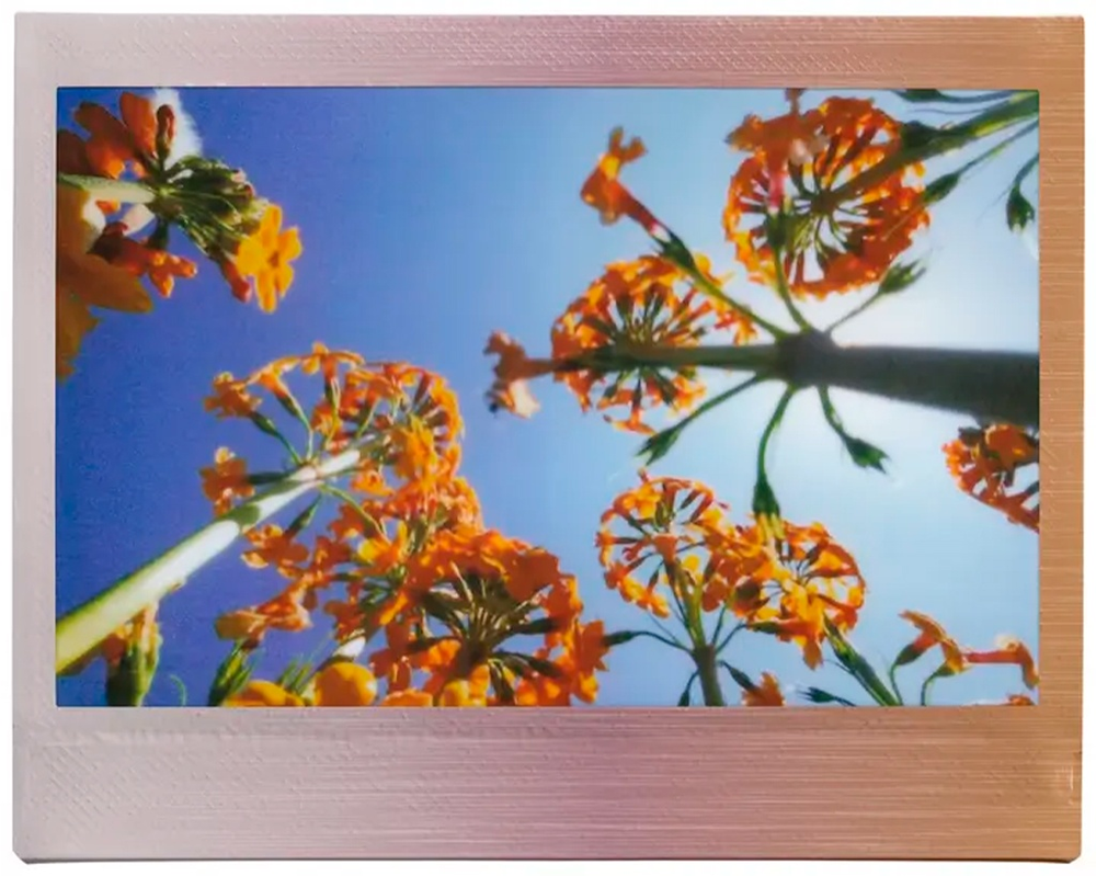 Фотопленка Fujifilm INSTAX WIDE BRUSHED METAL 10 шт