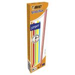 Карандаш чернографитный BIC, 1 шт., "Evolution Stripes", HB, корпус ассорти, 918487