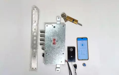 Комплект СКУД №3: Биометрический считыватель Dircode + электромоторный замок Dircode