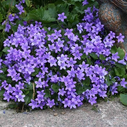 Колокольчик Портеншлага Clockwise (compact deep blue)