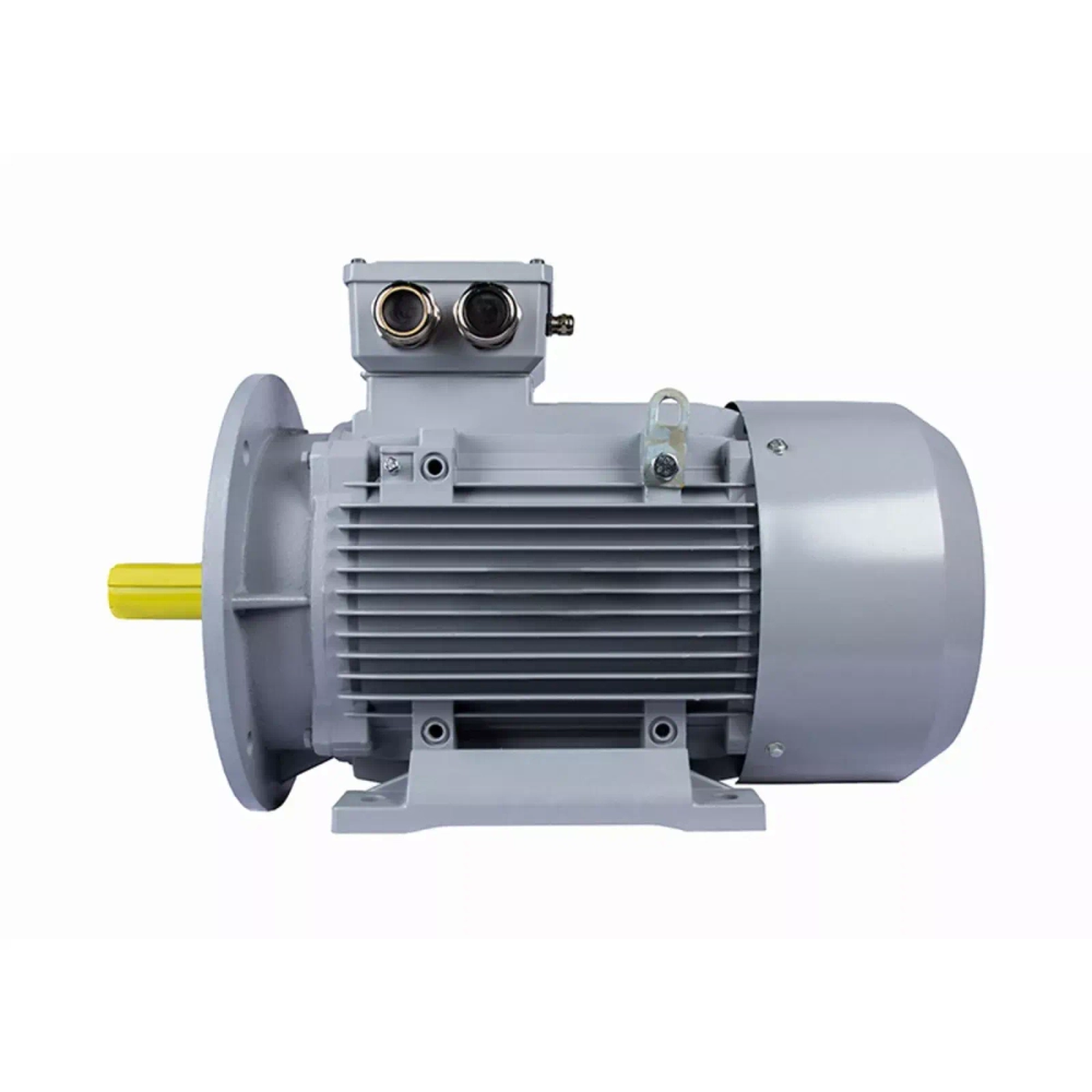 Электродвигатель ESQ PR 160 L2-SDN-Б1-S12-IE2 18,5/3000 IMB35