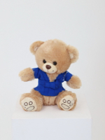 Мишка сувенирный в курточке САМБО синий