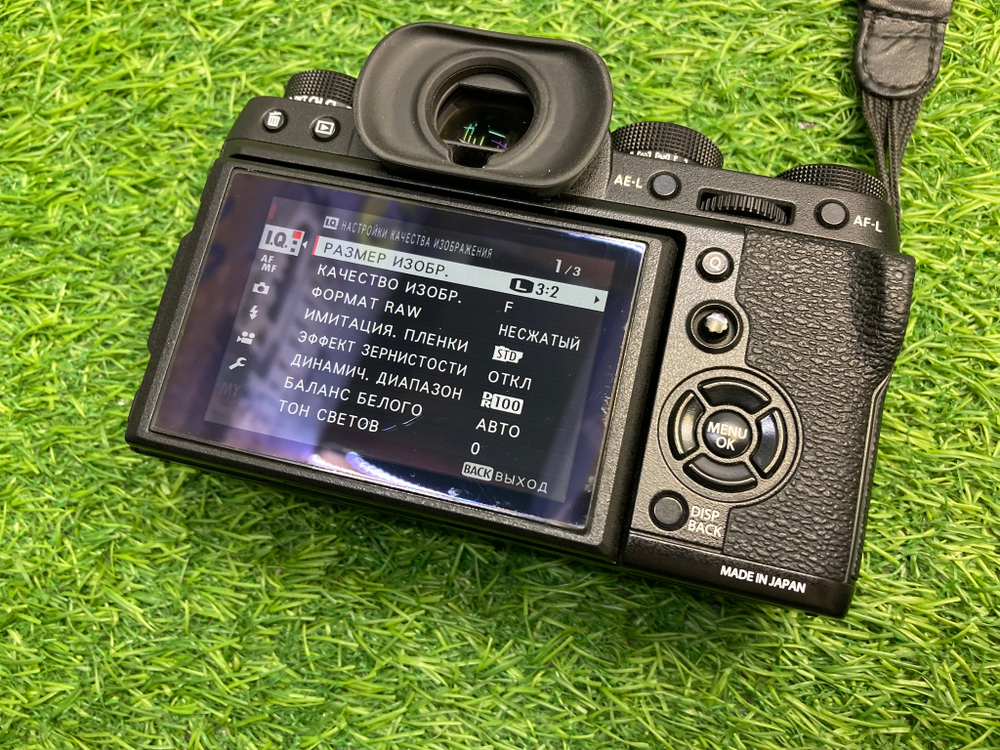 FujiFilm X-T2 100 кадров