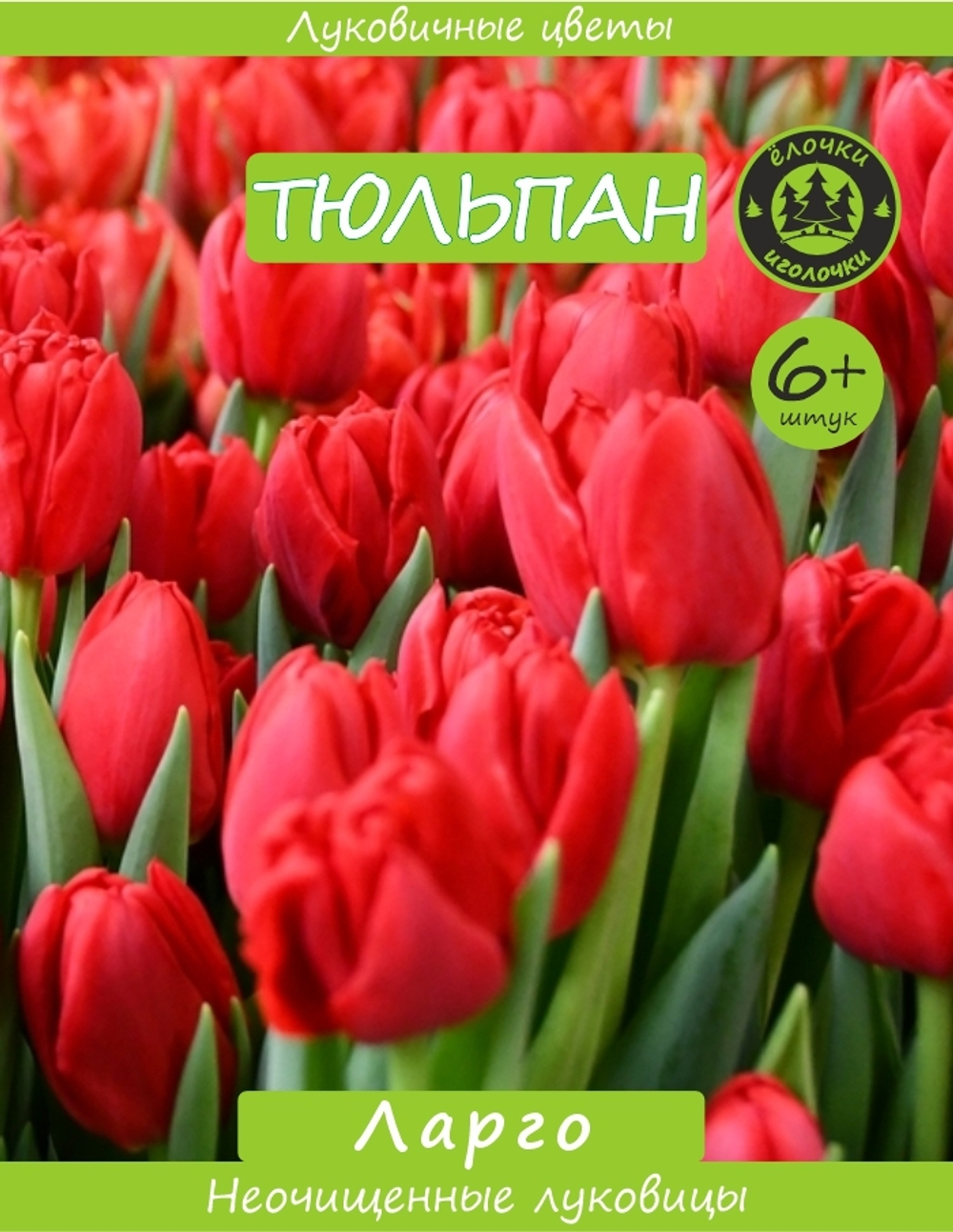 Тюльпан Луковица, Ларго, 6+ шт