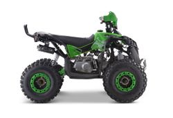 Квадроцикл YACOTA RENEGADE