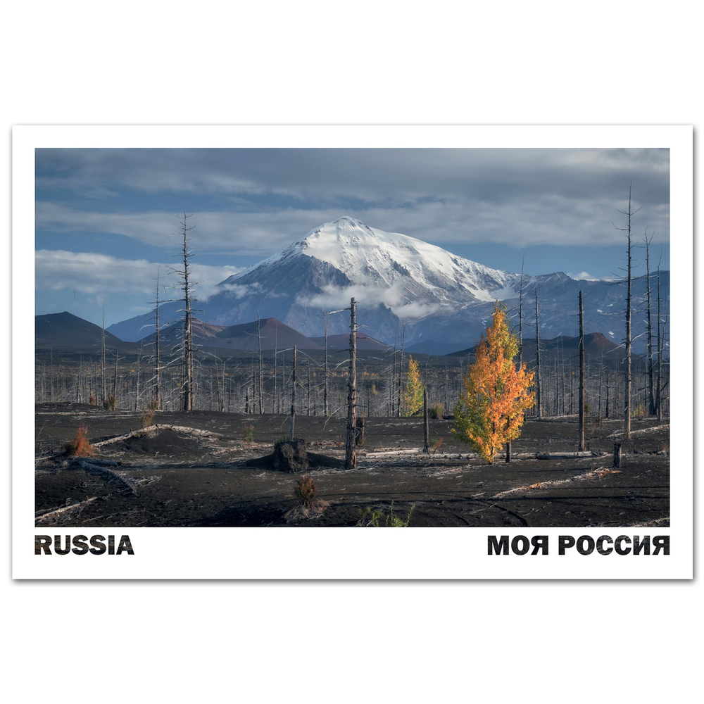 Плато Толбачика в сентябре, Камчатка