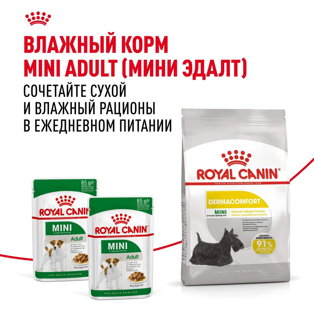 Royal Canin Mini Dermacomfort Корм сухой для взрослых собак мелких размеров 1кг