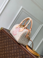 Louis Vuitton Speedy Bandouliere 20
