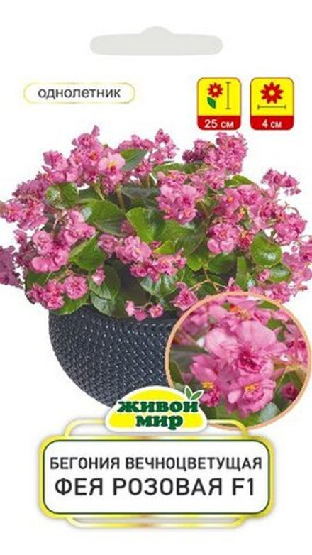 Бeгoния вечноцветущая "ЖМ. Фeя poзoвaя F1" 10шт, Чехия.