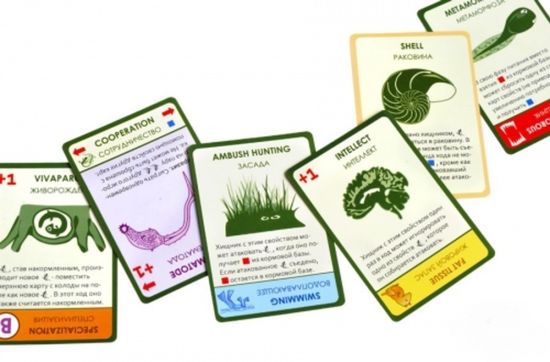 Настольная игра Эволюция: Время летать