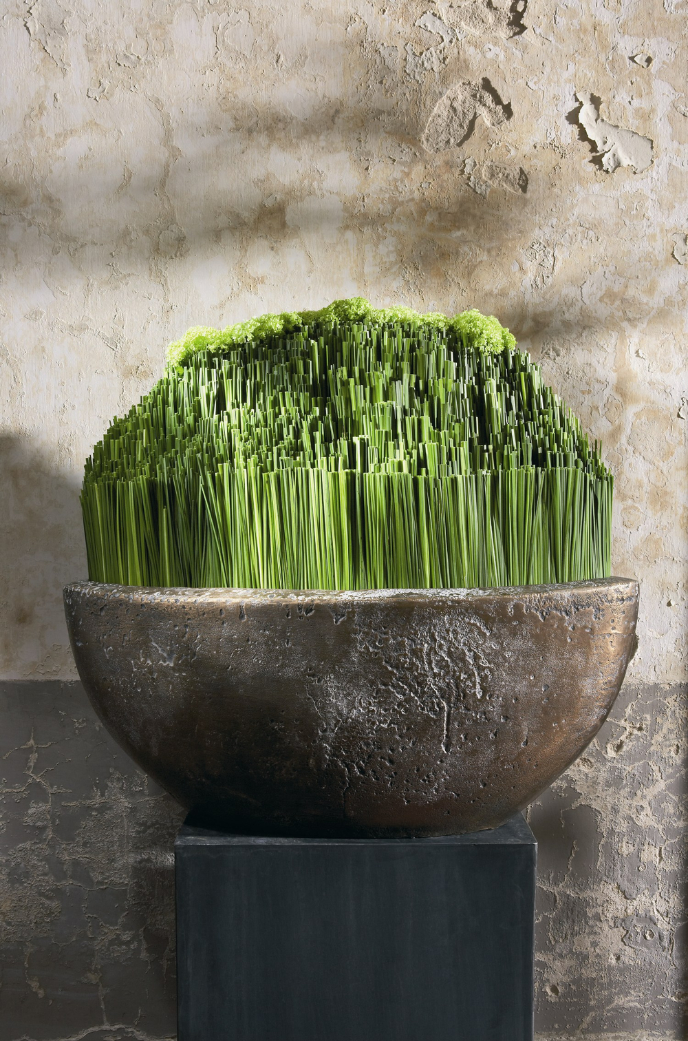 Natural Interior Design