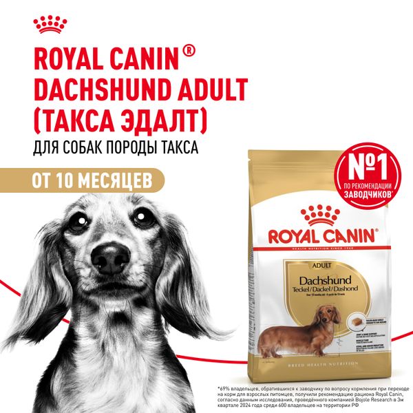 Сухой корм Royal Canin Dachshund Adult для взрослых собак породы Такса от 10 месяцев