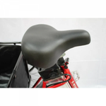 Электровелосипед GreenCamel Трайк-F20