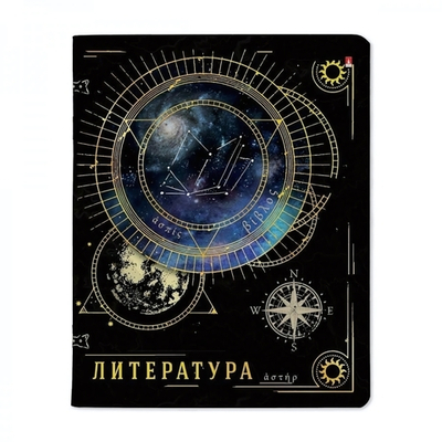 Тетрадь предметная А5 48л. Литература "Созвездие" (Альт)