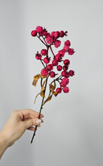 Ягоды / Арт 8053