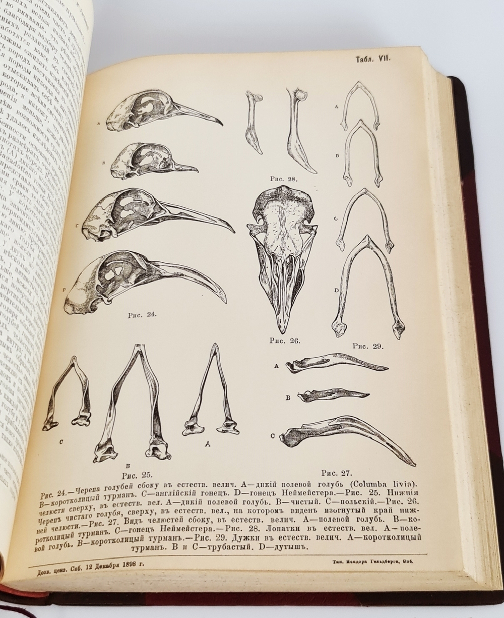 "Собрание сочинений.  В четырех томах."  Ч.Р.Дарвин. 1901 г.