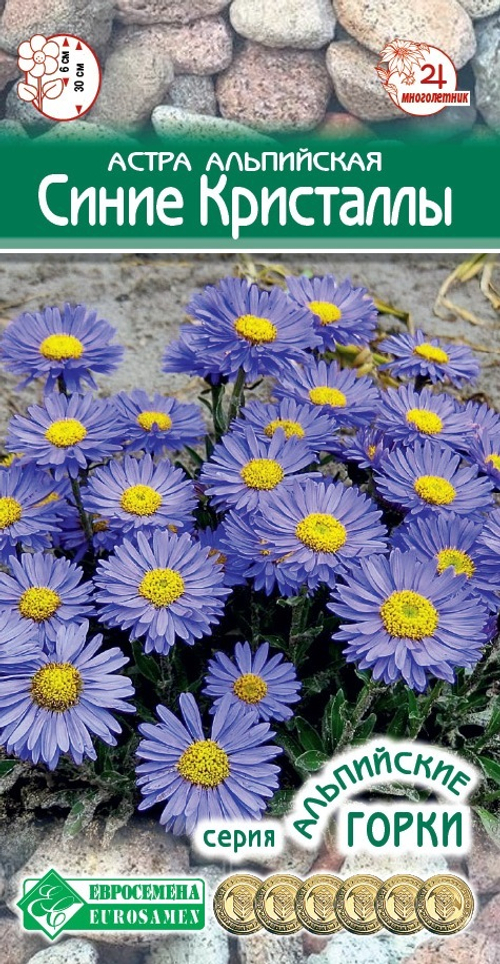 Астра альпийская Синие кристаллы