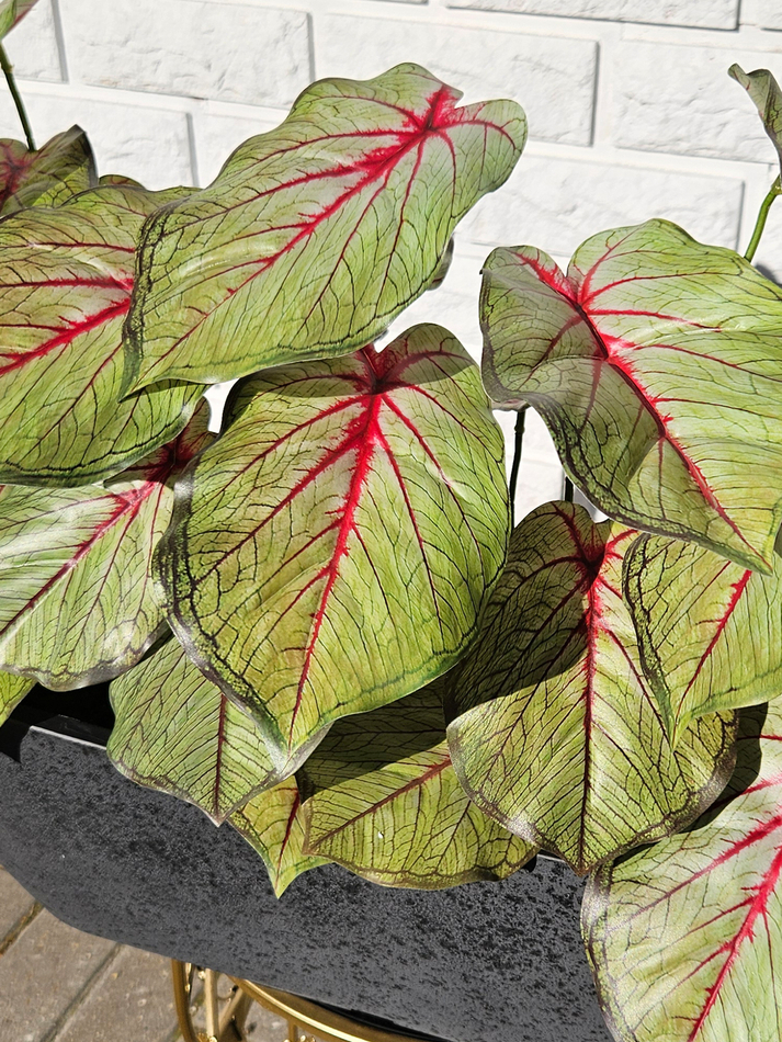 Искусственное растение Маранта розовая 75см в кашпо