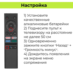 Голосовой пульт EGO-V1 для телевизоров ERGO