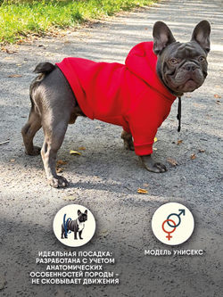 Толстовка для собак пород французского бульдога, мопса, голубой,M