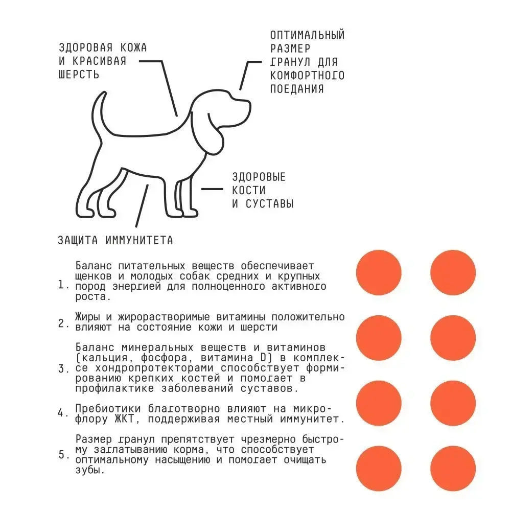 AJO (Айо) Dog Puppy & Junior Сухой полнорационный корм с гречкой для щенков и молодых собак средних и крупных пород, 2 кг
