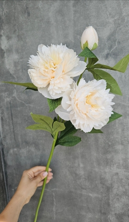 Пион / Арт 2270