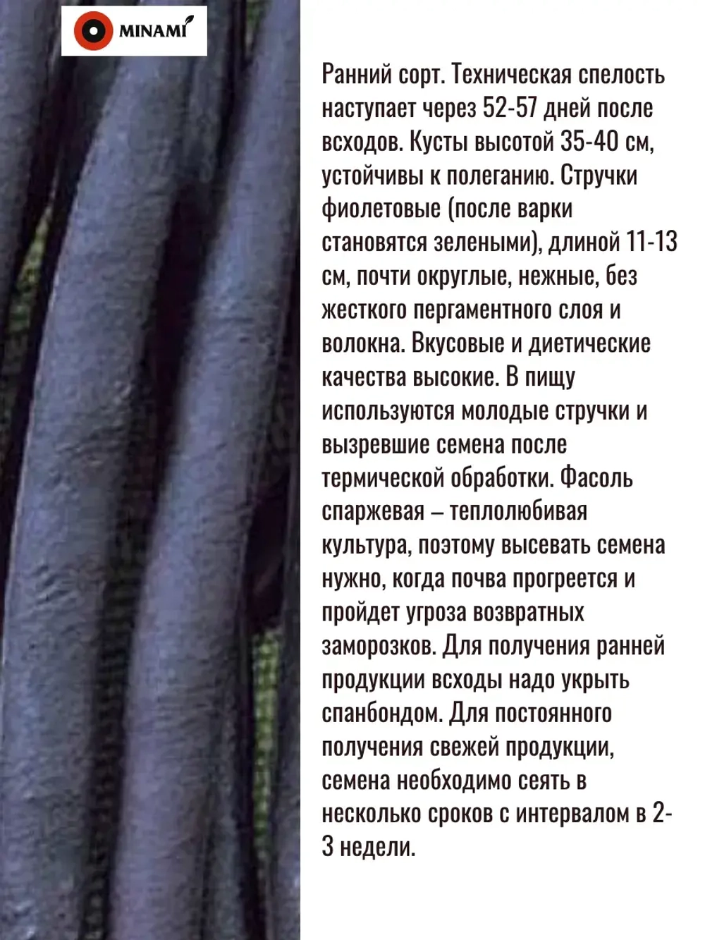 Фасоль кустовая пурпурная спаржевая
