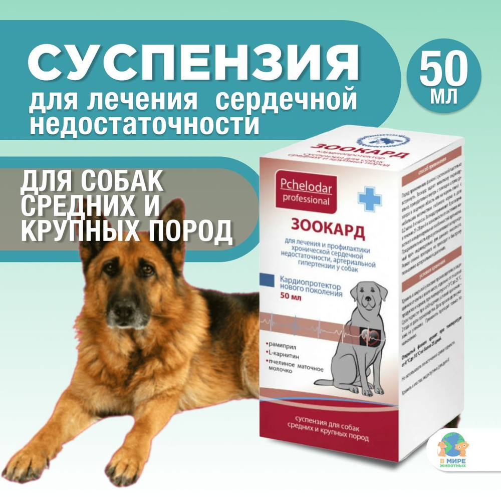 Зоокард Средство для лечения заболеваний сердца у кошек, Суспензия 25 мл, Пчелодар. Рамиприл.