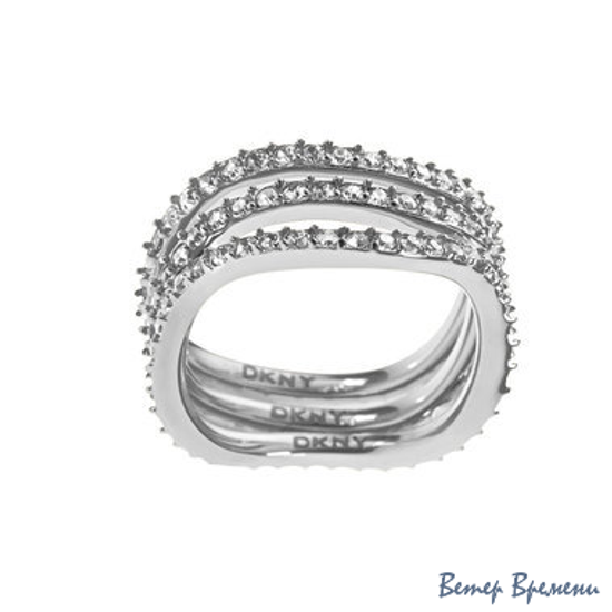 Бижутерия DKNY NJ1919040 (180)