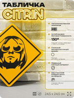 Табличка декоративная "Курт Кобейн, Kurt Cobain, Nirvana" на дверь и стену, прикольная штука в подарок, декоративный знак, 24,5х24,5 см, пластиковая, Айдентика Технолоджи