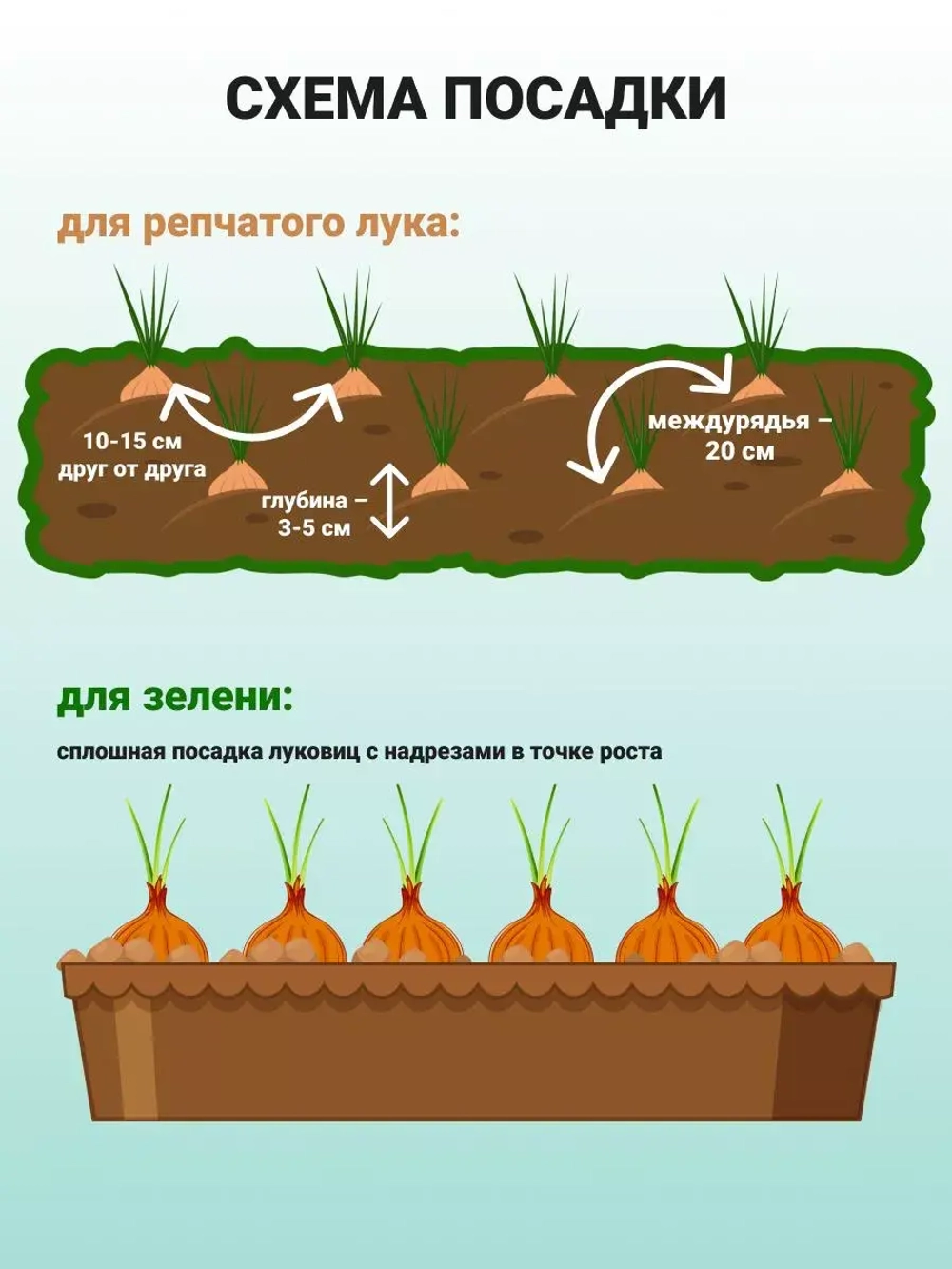 Лук севок озимый для посадки Стурон 1 кг