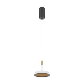 Подвесной светильник Maytoni MOD041PL-L15WG3K