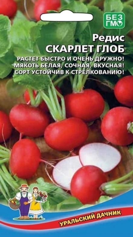 Редис "G. Скарлет Глоб" 2г., Россия.