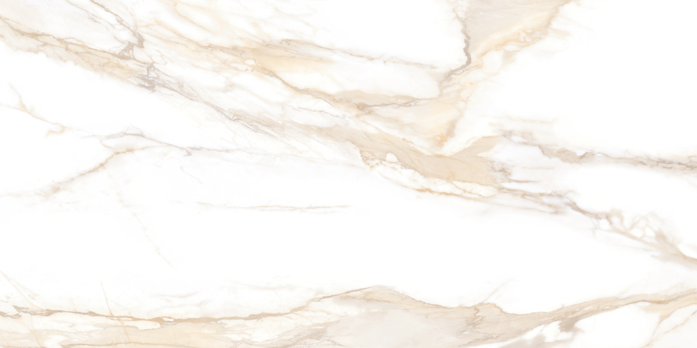 Сэнди Каррара / Sandy Carrara